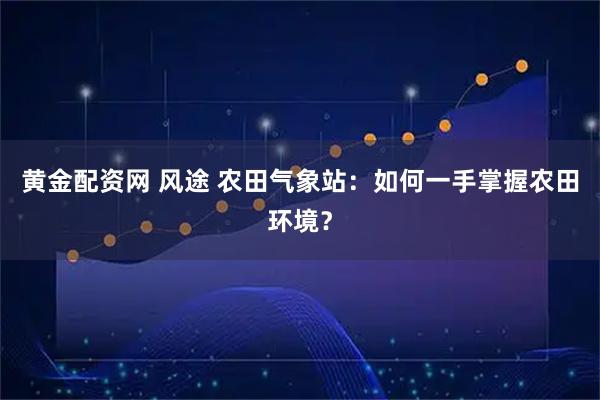 黄金配资网 风途 农田气象站：如何一手掌握农田环境？