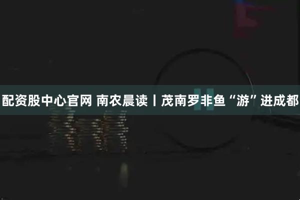 配资股中心官网 南农晨读丨茂南罗非鱼“游”进成都