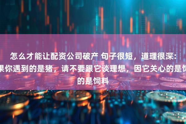 怎么才能让配资公司破产 句子很短，道理很深：如果你遇到的是猪，请不要跟它谈理想，因它关心的是饲料