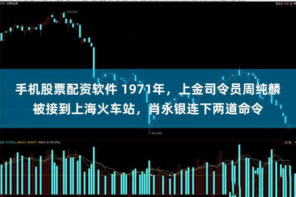 手机股票配资软件 1971年，上金司令员周纯麟被接到上海火车站，肖永银连下两道命令