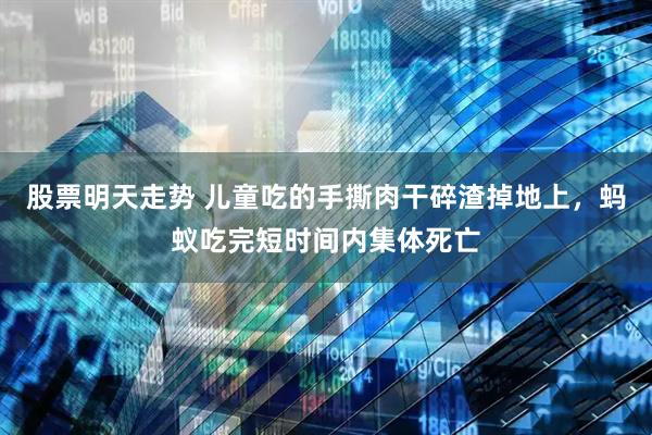 股票明天走势 儿童吃的手撕肉干碎渣掉地上，蚂蚁吃完短时间内集体死亡
