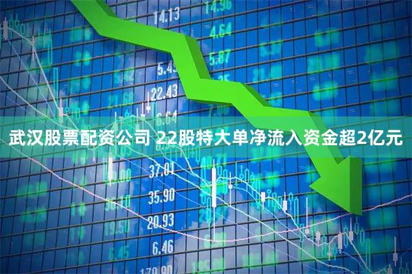 武汉股票配资公司 22股特大单净流入资金超2亿元